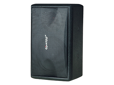 Pro Loudspeaker