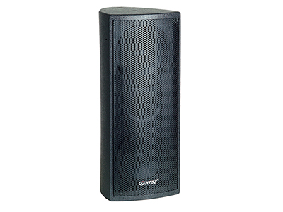 Pro Loudspeaker