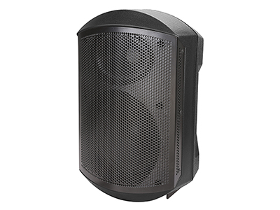 Pro Loudspeaker