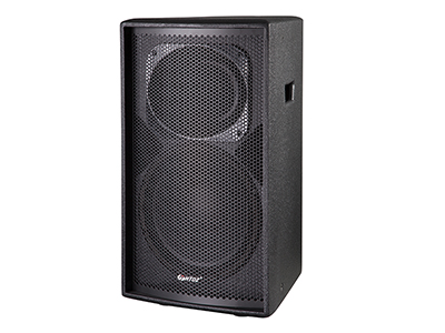 Pro Loudspeaker