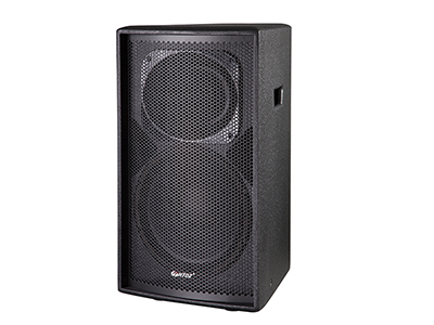 Pro Loudspeaker