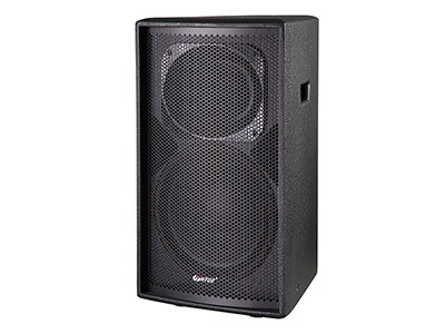 Pro Loudspeaker